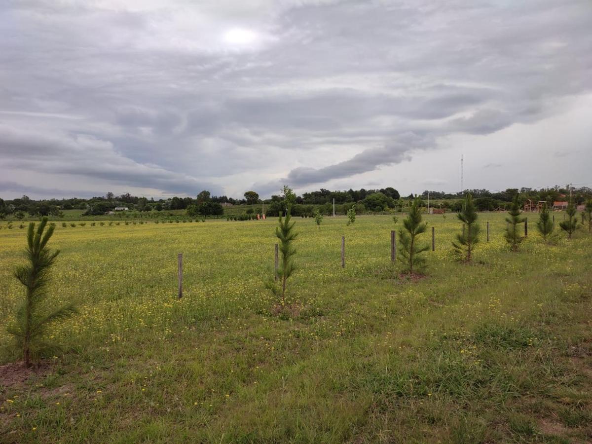 Tierra De Inmigrantes Villa Baradero Kültér fotó